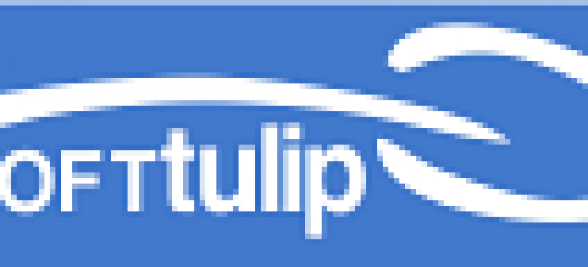 Візит представників Міжнародної організації надавачів послуг SOFT Tulip