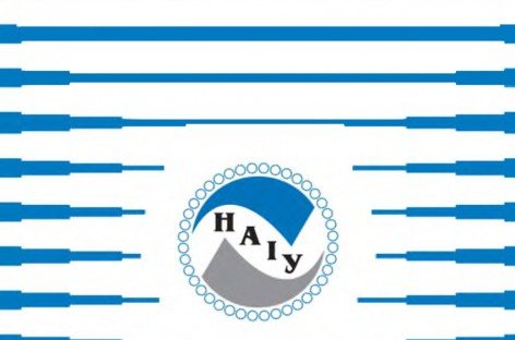 Звіт діяльності НАІУ у 2015 році