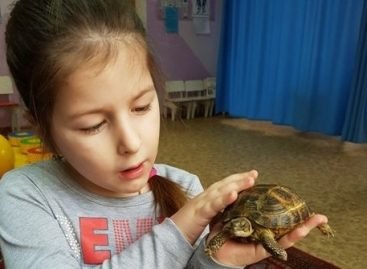 На Волині дітей з інвалідністю лікують за допомогою тварин