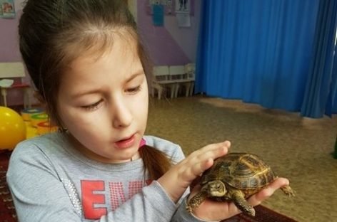 На Волині дітей з інвалідністю лікують за допомогою тварин