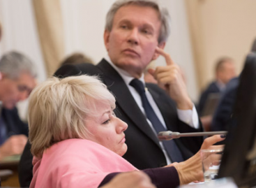 Раїса Панасюк: Доступність – значима та необхідна частина всіх успішних реформ