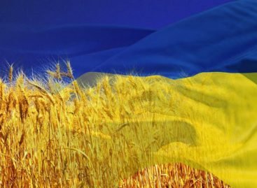 Новини Дефлімпіади: 4 високі нагороди у вранішньому доробку українських дефлімпійців