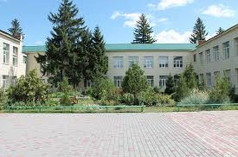 З першого вересня 2017 року в області розпочне діяльність Кобеляцький навчально-реабілітаційний центр Полтавської обласної ради