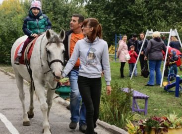 Иппотерапия: как в Запорожье лошади лечат детей с аутизмом и ДЦП