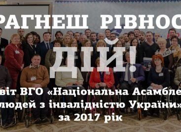 Звіт діяльності НАІУ за 2017 рік