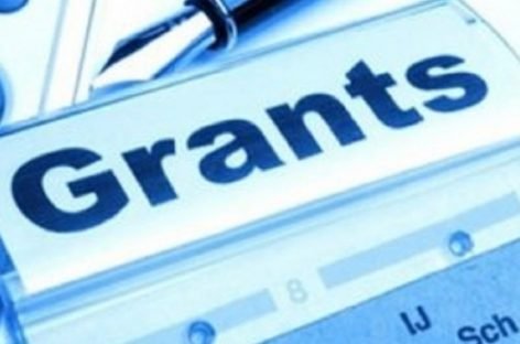 Гранти Національного фонду підтримки демократії (NED)
