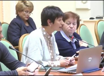 Виступ виконавчого директора НАІУ на засіданні Ради у справах осіб з інвалідністю