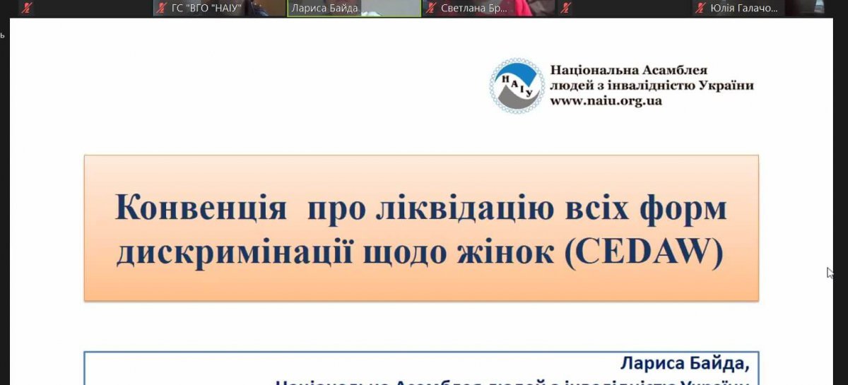 Зараз на платформі Zoom триває робоча зустріч за участі представниць/ків громадських організацій осіб/жінок з інвалідністю з метою підготовки Альтернативного звіту до Комітету ООН з ліквідації дискримінації щодо жінок (CEDAW).