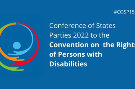 New disability experts, Ukraine: highlights of the UN conference on disability