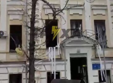 Зв’язок, що допомагає вижити