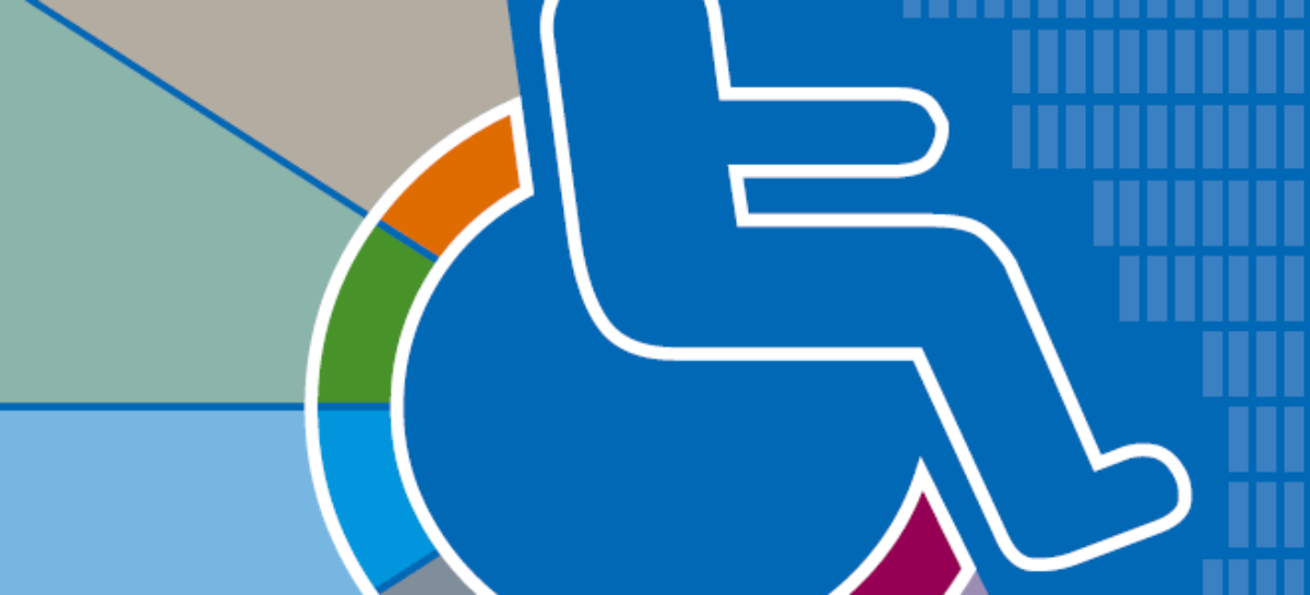 Analytic Survey Report: Wartime Condition and Needs of Social Enterprises of Public Associations of People with Disabilities in Ukraine (Short version)