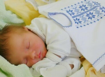 Виплати ВПО: народжені після початку війни діти переселенців зможуть отримувати держдопомогу